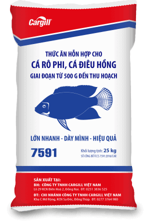 Thức ăn HH cao cấp cho cá Rô phi và cá Điêu Hồng 7591