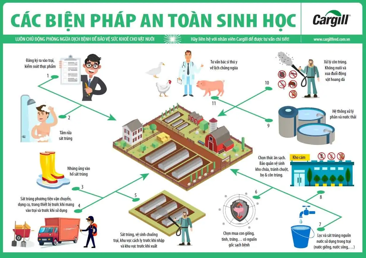 Bệnh dịch tả lợn châu phi